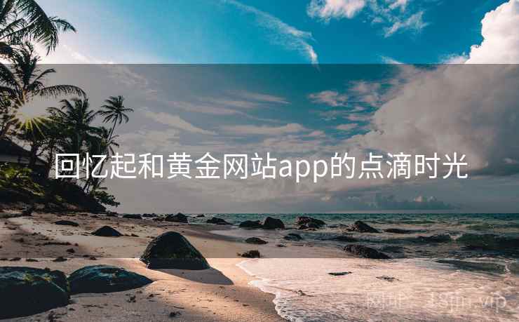回忆起和黄金网站app的点滴时光  第2张